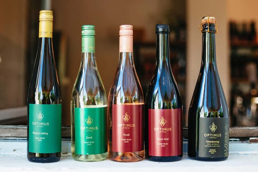 From Budapest: Etyek Wine Tasting Tour with 3-Course Meal - Second winery and the three-course Hungarian meal