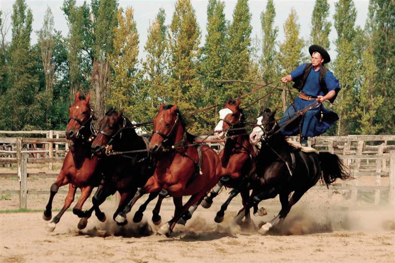From Budapest: Full-Day Puszta Tour with Lunch and Show - Leaving Budapest for the Hungarian Great Plain