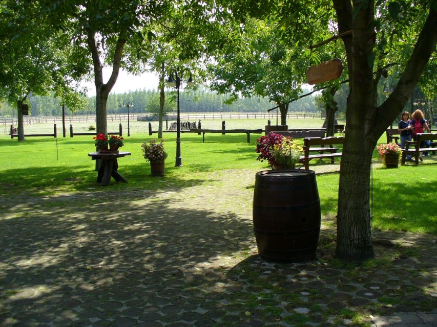 From Budapest: Full-Day Puszta Tour with Lunch and Show - Arriving at Lajosmizse with pálinka