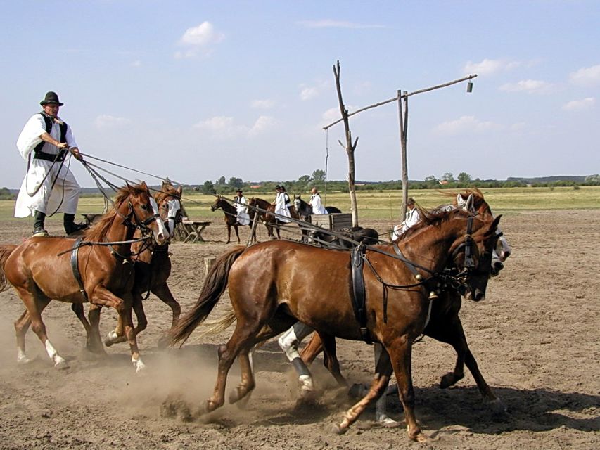From Budapest: Full-Day Puszta Tour with Lunch and Show - Guide quality and language concerns