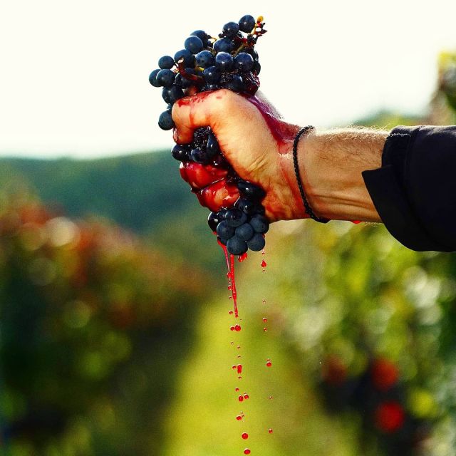 From Budapest: Guided Tour of Eger with Wine Tasting - Who will get the most from this Eger tour