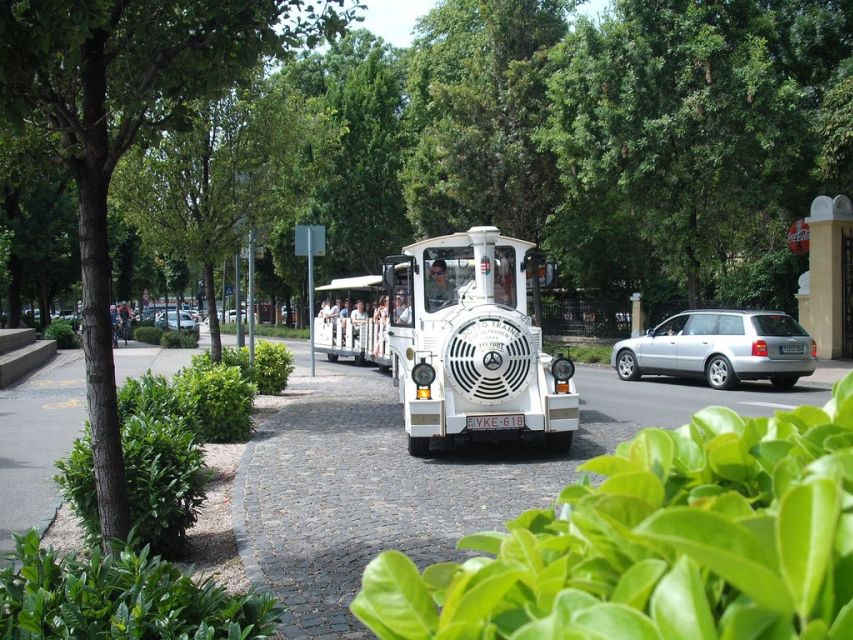 From Budapest: Lake Balaton Day Tour - Lunch, drinks, and the cost of the day