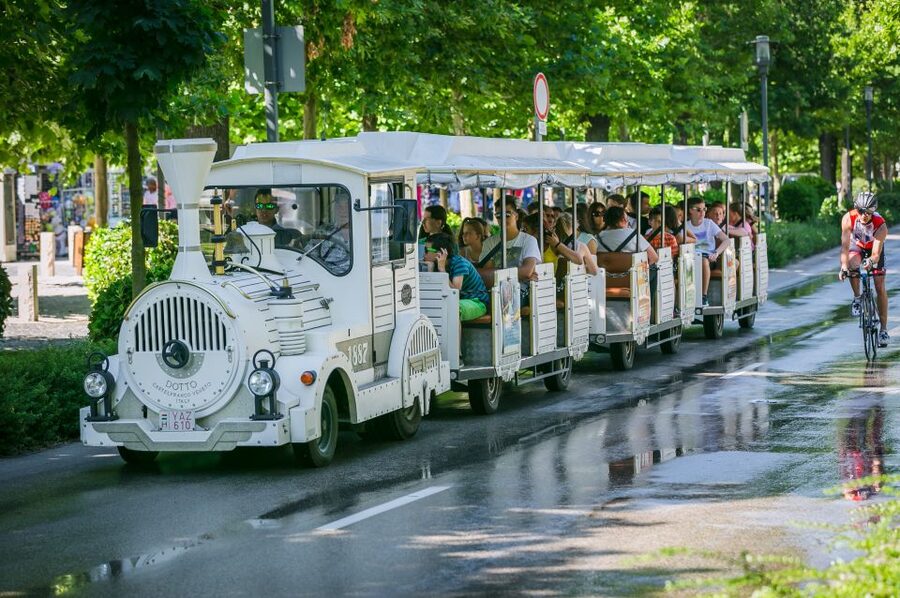 From Budapest: Lake Balaton Day Tour - Timing, comfort, and mobility