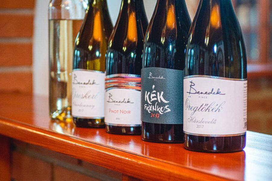 From Budapest: Mátra Hills Wine Tour - First winery: four wines and a local point of view