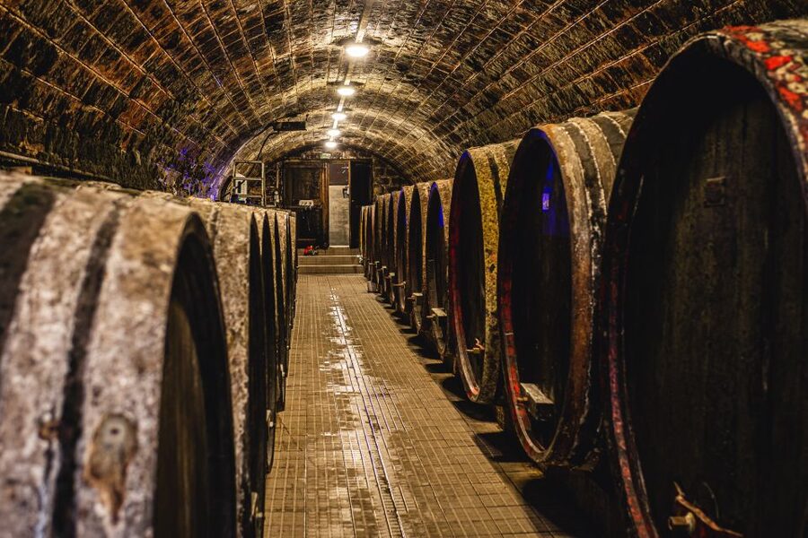 From Budapest: Mátra Hills Wine Tour - Practical planning for the five-hour outing