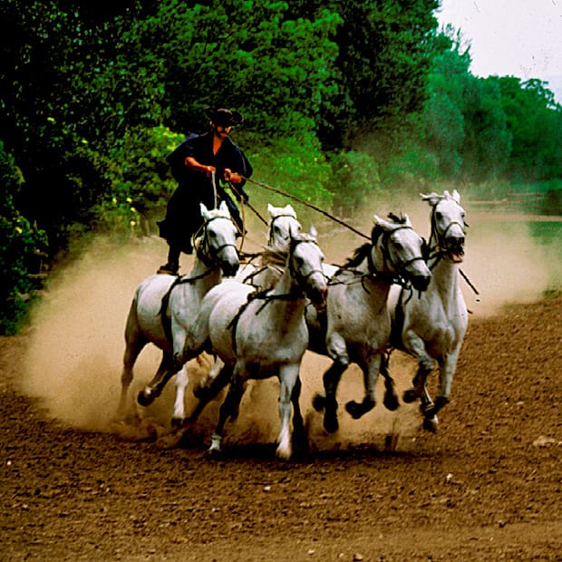 From Budapest: Puszta Horse Show and Countryside Visit - Why leave Budapest for the Hungarian Plains?
