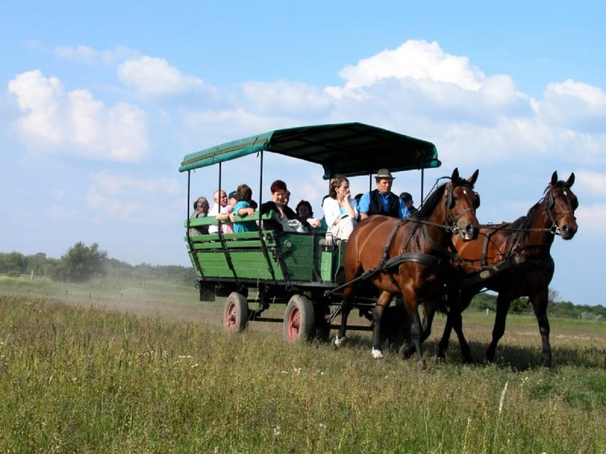 From Budapest: Puszta Horse Show and Countryside Visit - The horse show and carriage ride