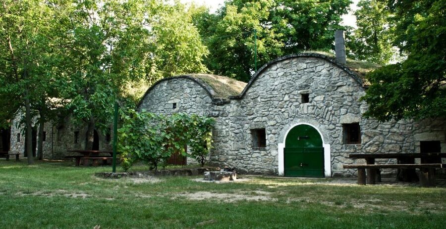 From Budpaest: Páty Wine Village Tour with Tastings - The Best Season for Páty