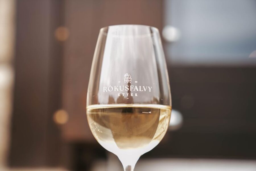 Guided wine tasting at Rókusfalvy Estate - Why Etyek makes a good wine stop near Budapest