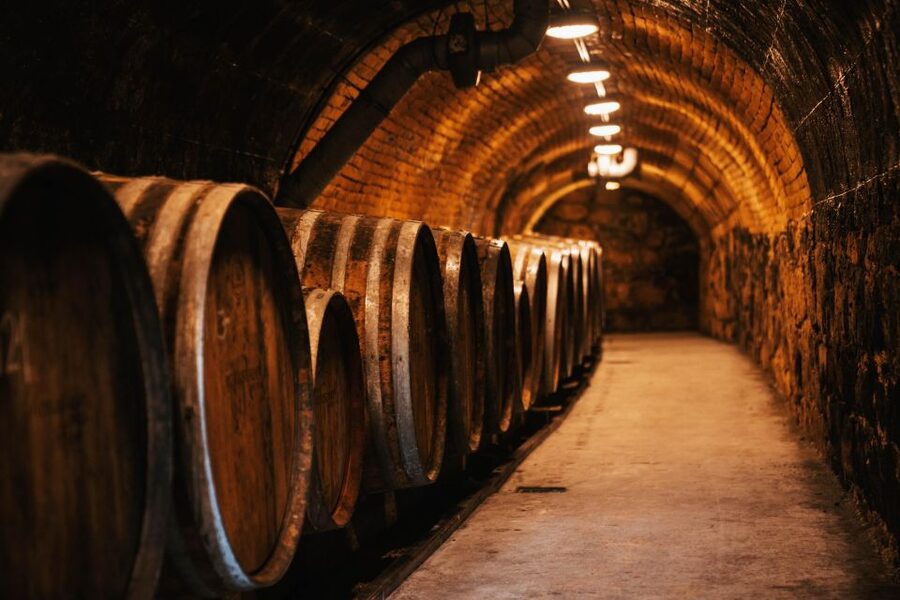 Guided wine tasting at Rókusfalvy Estate - Walking among the vines before the cellar tour