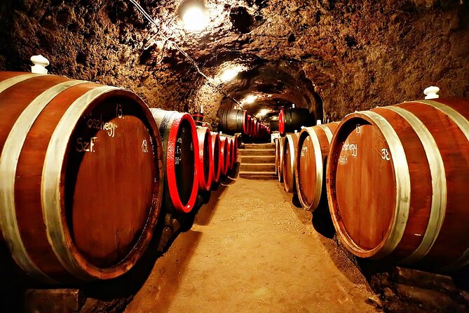 Half Day Tokaj Wine Tasting Tour in Mád Hungary with lunch - Király dűlő tető and the taste of Tokaj in the vineyard