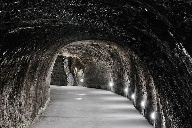Half Day Tokaj Wine Tasting Tour in Mád Hungary with lunch - Timing, fitness, and practical details
