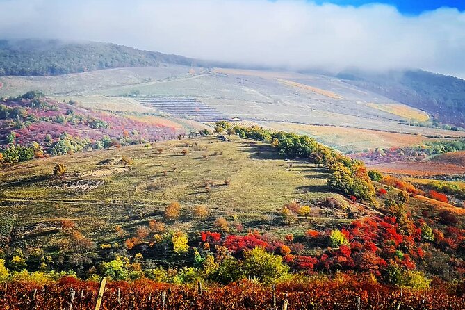 Home to Bull's Blood red wine! Eger with winetaste private tour - Why Eger makes a strong day trip from Budapest