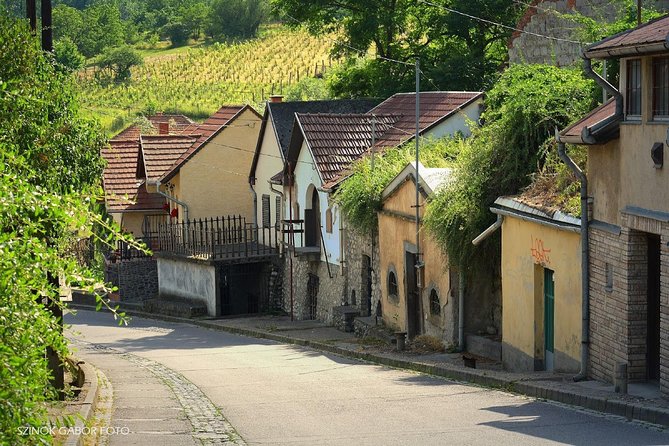 Home to Bull's Blood red wine! Eger with winetaste private tour - Food, wine, and extra costs