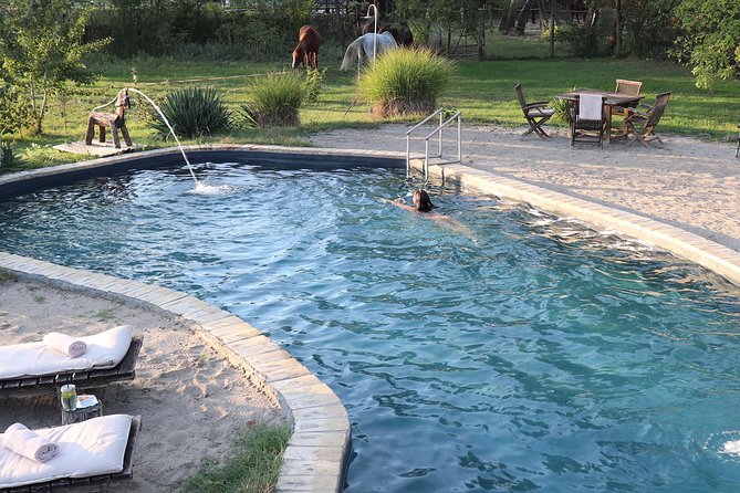 Horseback Riding and yurt stay in the Puszta, 1 hour morning ride - Breakfast With Local Farm Products
