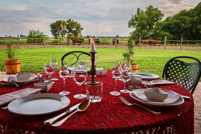 Horseback Riding and yurt stay in the Puszta, 1 hour morning ride - Meeting the Hungarian Warmblood Horses