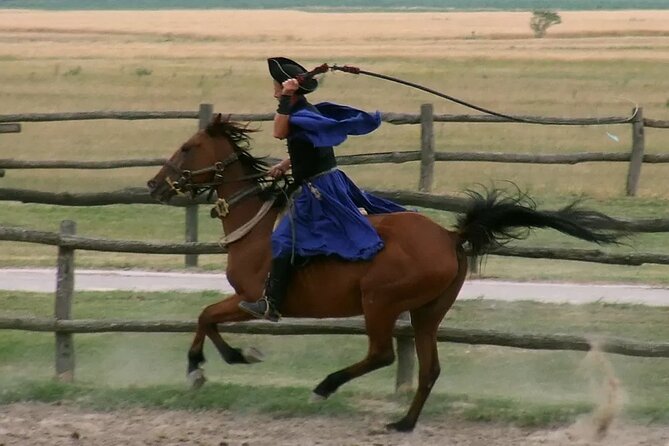 Horseshow on the Hungarian Puszta, private tour from Budapest with entry! - The carriage ride and stable visit