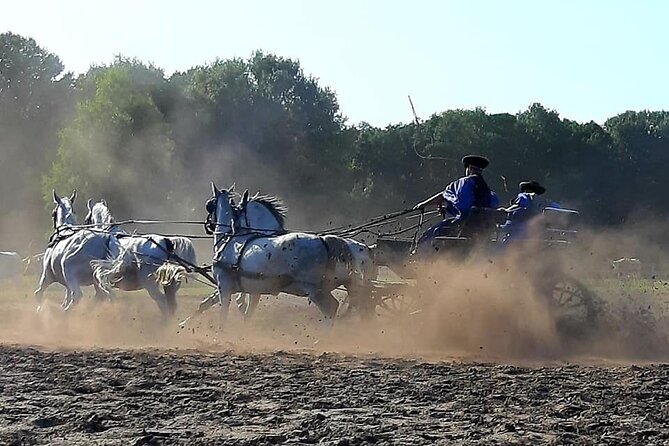 Horseshow on the Hungarian Puszta, private tour from Budapest with entry! - Hungarian lunch and wine included