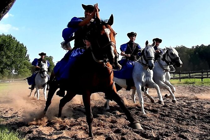 Horseshow on the Hungarian Puszta, private tour from Budapest with entry! - Who will enjoy this day trip most?