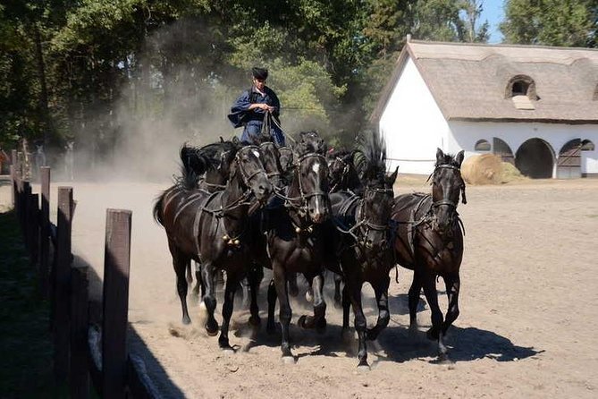Horseshow on the Hungarian Puszta, private tour from Budapest with entry! - Arriving at Kiskunsagi National Park