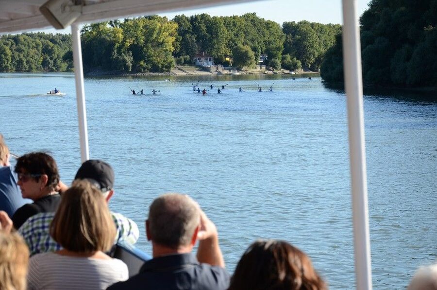 Hungary: Full-Day Private Danube Bend Tour - Who should book this day trip?