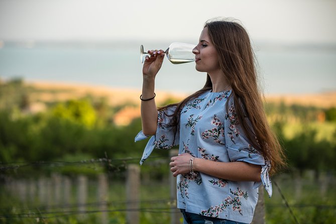 Lake Balaton Full Day Private Wine Tour - Wine tasting on Lake Balaton’s North Shore