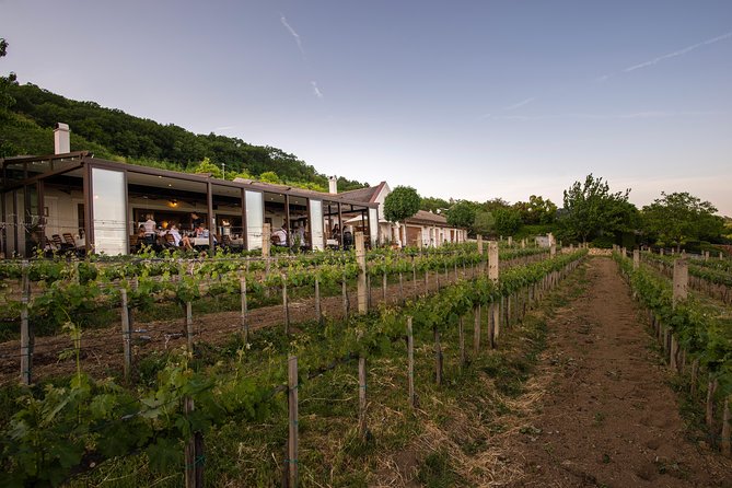 Lake Balaton Full Day Private Wine Tour - The strongest reasons to book