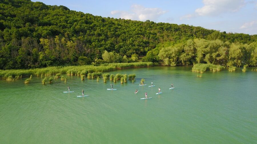 Lake Balaton: Paddle Board Tour of Tihany National Park - Choosing the right board and learning the basics