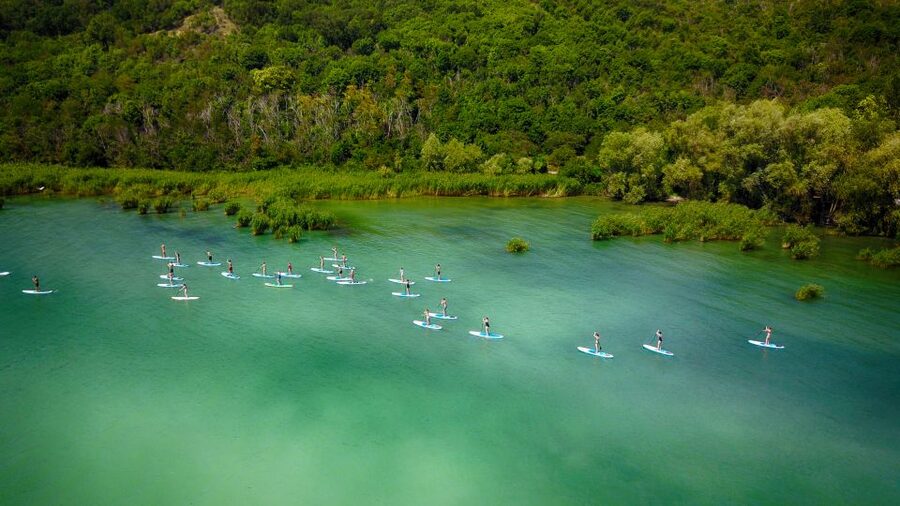 Lake Balaton: Paddle Board Tour of Tihany National Park - Reeds, wildlife, and the view from the water