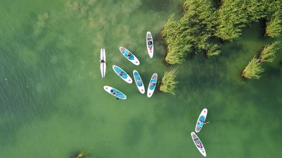 Lake Balaton: Paddle Board Tour of Tihany National Park - How much does the $94 price offer?
