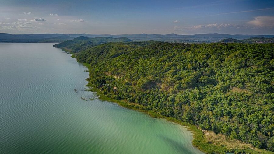 Lake Balaton: Paddle Board Tour of Tihany National Park - Timing, languages, and cancellation flexibility