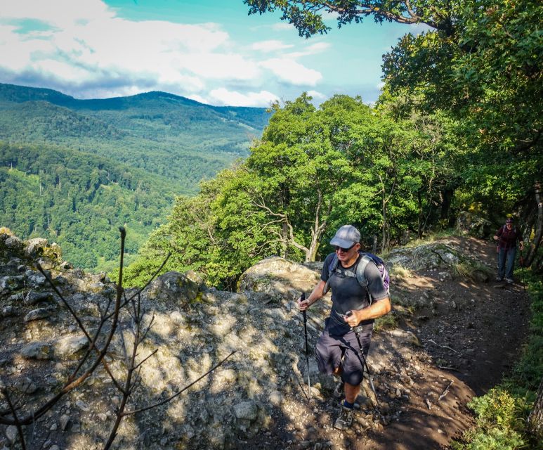 One Day Wonder Hike - The Essence of the Danube Bend - Key points to know before you book