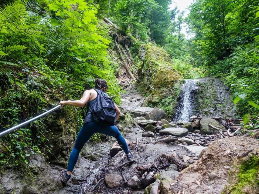 One Day Wonder Hike - The Essence of the Danube Bend - The long descent through a quiet forest valley