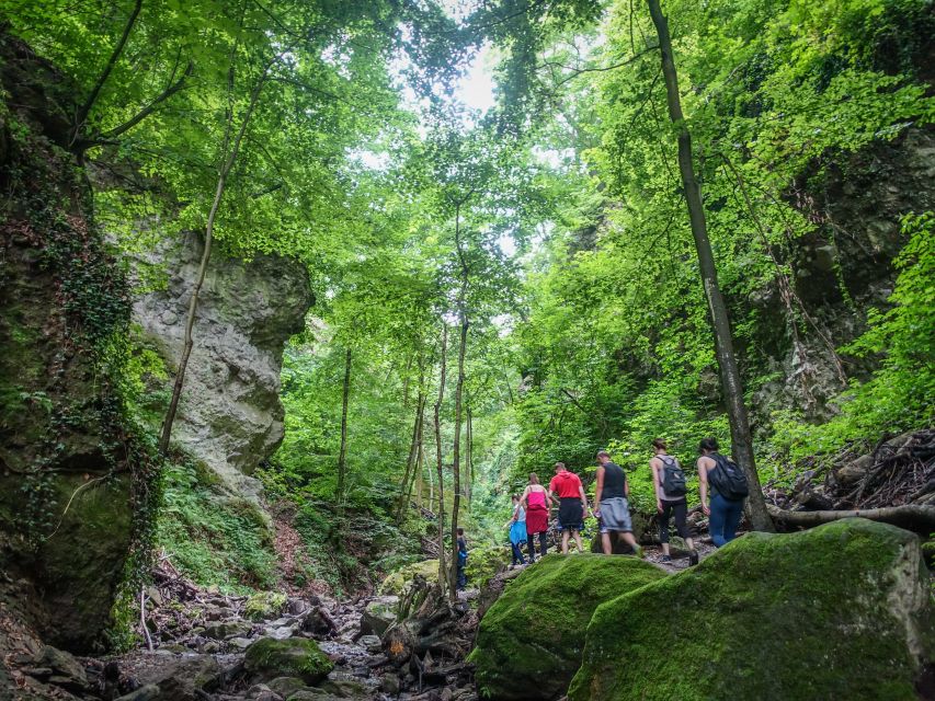 One Day Wonder Hike - The Essence of the Danube Bend - Who should book, and who should choose another day trip