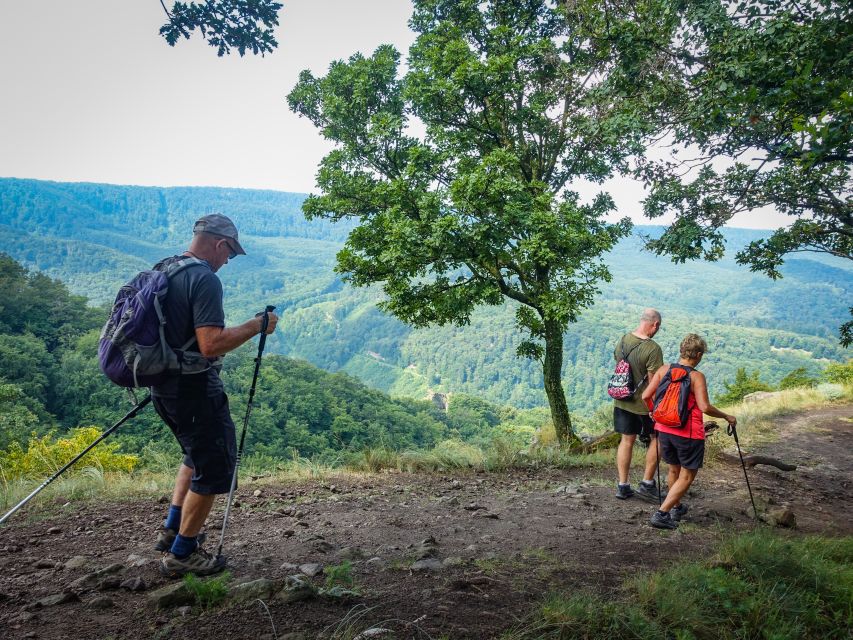 One Day Wonder Hike - The Essence of the Danube Bend - Leaving Budapest in a comfortable one-hour transfer