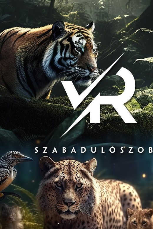 PÁNiQ-SZOBA | VR Escape Rooms by PANiQ ROOM in Budapest - The opening briefing and equipment check