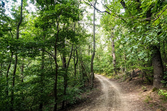 Panoramic hike around Budapest - Chairlift option for the return