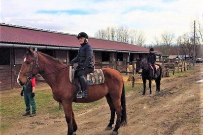 Private Horse Riding near Budapest with transport