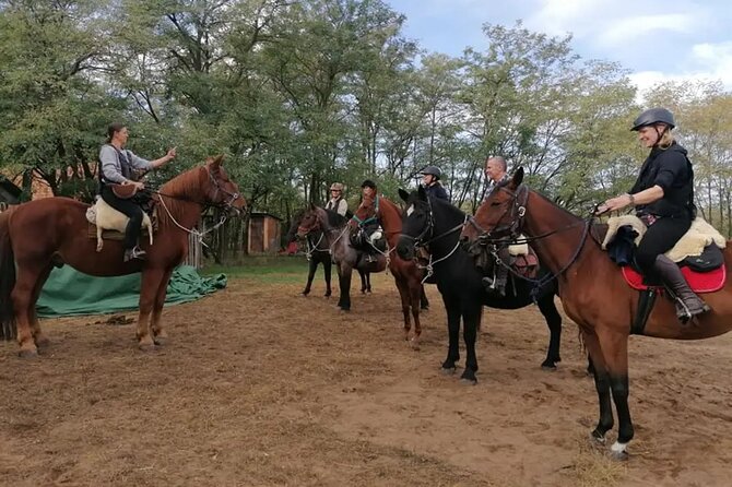 Private Horse Riding near Budapest with transport - The people who shape the experience