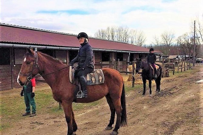 Private Horse Riding near Budapest with transport - Meeting the horse and preparing for the ride