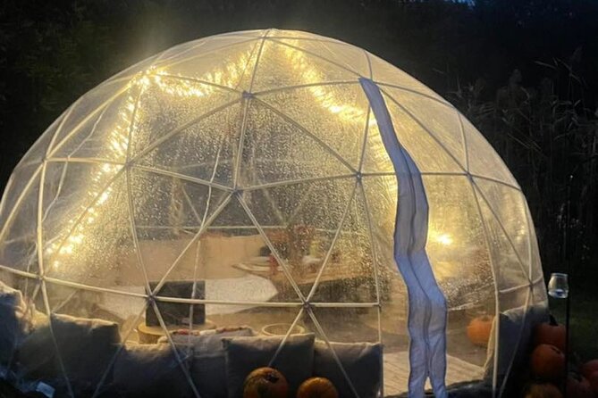 Private Igloo Picnic Experience Hungary - Inside the heated igloo