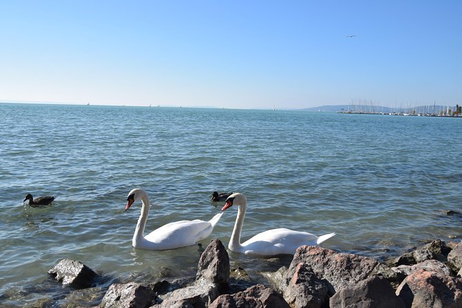 Private Lake Balaton Experience with an unforgettable Wine Tasting - Balatonfüred and the Tagore Promenade