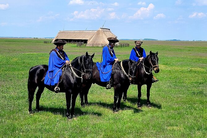 Private Sissi Palace tour in Godollo city with Puszta tour option - Timing, comfort, and practical points