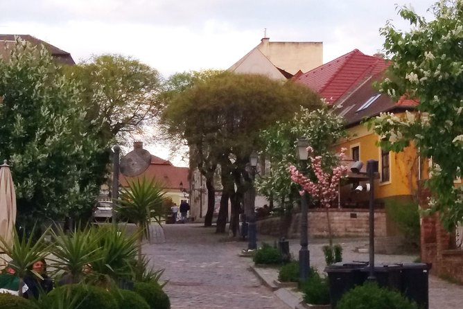 Private tour in Vác by local guide - Magical vibe of an charming baroque town - The Dominican church and the crypt beneath it