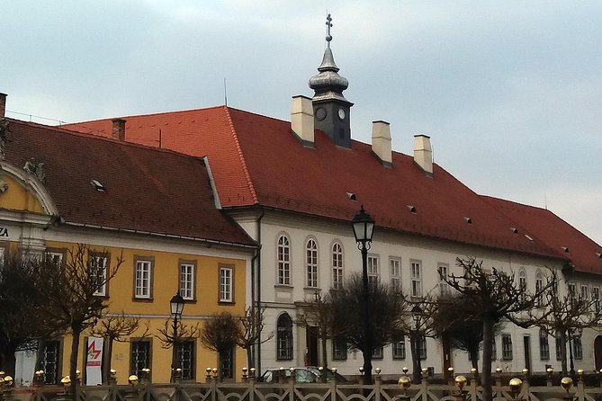Private tour in Vác by local guide - Magical vibe of an charming baroque town - The cathedral and Vác’s grand opening scene