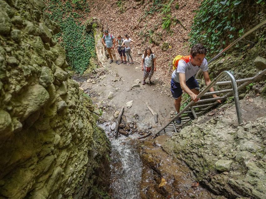 Ram Gorge Hiking Adventure - The Main Event: Waterfalls, Ladders, and Stream Crossings