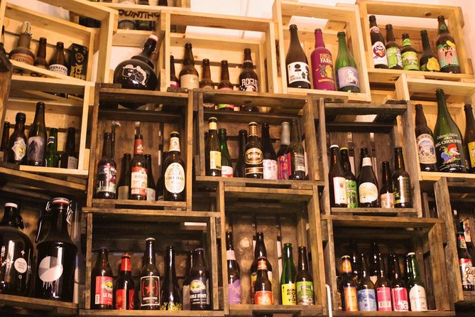 SÖR - The Ultimate Budapest Craft Beer Tour - Key points about the Budapest beer walk