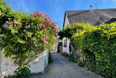 Szentendre Daytrip (Artists’ Village) small group