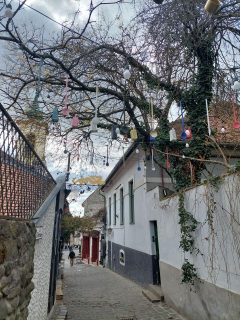 Szentendre: Half-Day Private Tour from Budapest - Hotel pickup and the ride north from Budapest