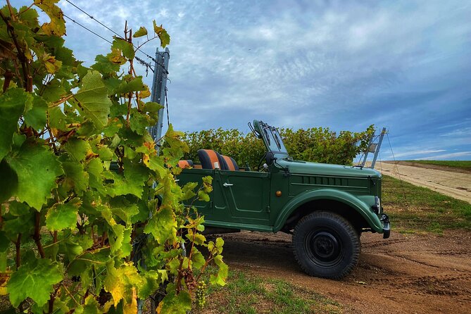 The only Wine Cocktail Club in Tokaj, Lunch & Fun, Hungary - Who should book this experience?